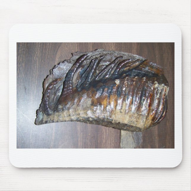 fantastischer Mammutzahn Mousepad (Vorne)