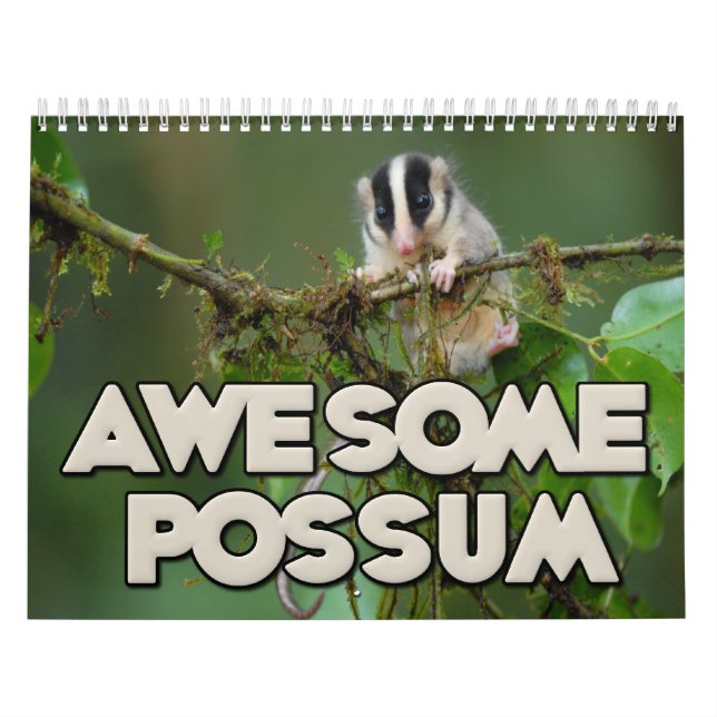 Fantastischer Opossum-Wandkalender Kalender (Titelbild)