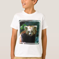 Fantastischer roter Panda