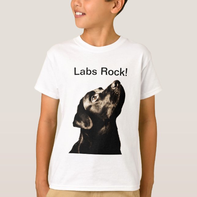 Fantastischer schwarzer Labrador-Retriever T-Shirt (Vorderseite)