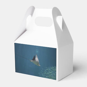 Fantastischer Stingray Geschenkschachtel
