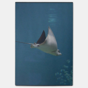 Fantastischer Stingray Post-it Klebezettel