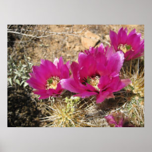 Fantastisches Fuschia (3) Poster