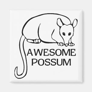 Fantastisches Opossum Magnet