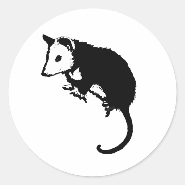 Fantastisches Opossum-Opossum Runder Aufkleber (Vorderseite)