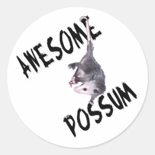 Fantastisches Opossum-Opossum Runder Aufkleber