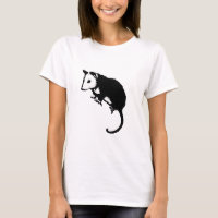 Fantastisches Opossum-Opossum