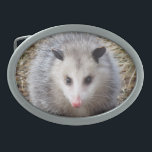 Fantastisches Opossum Ovale Gürtelschnalle<br><div class="desc">Tierbild kennzeichnet ein Porträt eines Opossums.</div>