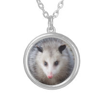 Fantastisches Opossum