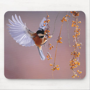 Fantastisches Vogelbild/ Schöne Natur Mousepad