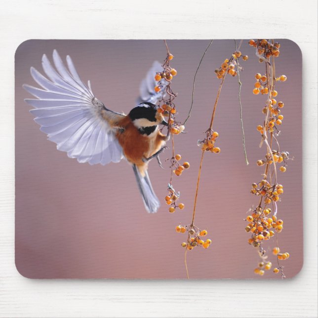 Fantastisches Vogelbild/ Schöne Natur Mousepad (Vorne)