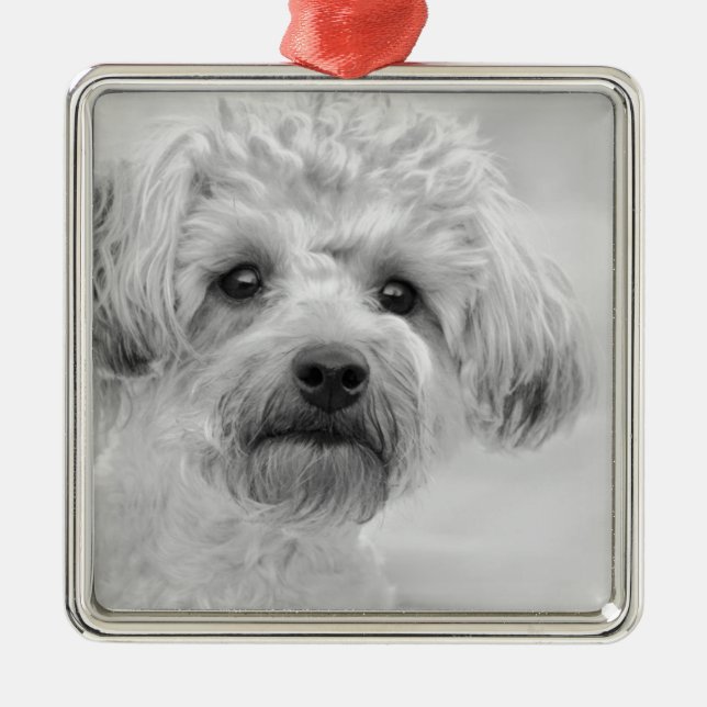 Fantastisches Yorkie Poo in den Sepia-Tönen Ornament Aus Metall (Vorne)