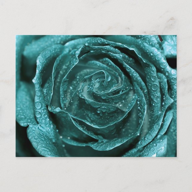 Fantasy Aquamarine Rose Postkarte (Vorderseite)