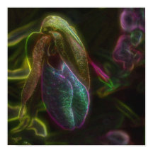 Fantasy Blue Abstrakt Lady Slipper Blume