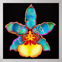 Fantasy Cologe Orchid Blume Poster