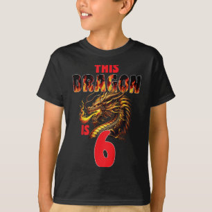 Fantasy Dragon Thema für Kinder drehen 6 Geburtsta T-Shirt