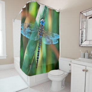 Fantasy Dragonfly in Türkis und Schwarz Duschvorhang