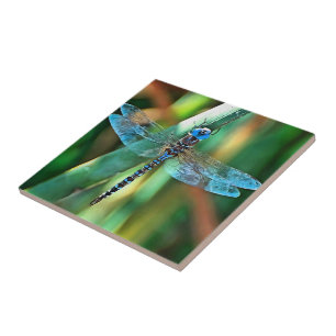 Fantasy Dragonfly in Türkis und Schwarz Fliese