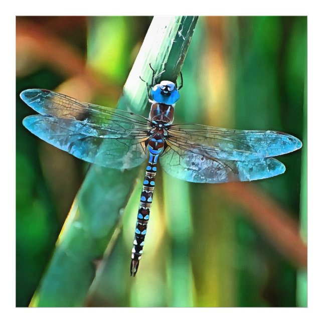 Fantasy Dragonfly in Türkis und Schwarz Fotodruck (Vorne)
