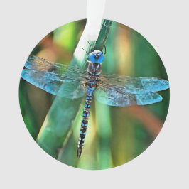Fantasy Dragonfly in Türkis und Schwarz Ornament