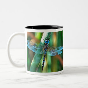 Fantasy Dragonfly in Türkis und Schwarz Zweifarbige Tasse