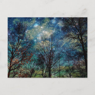 Fantasy Forest Celestial Woods Night Stars Postkarte