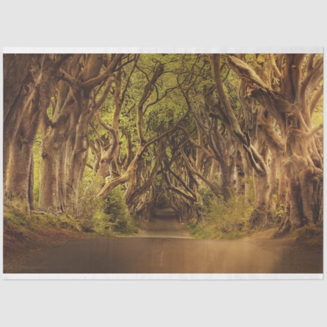 Fantasy Forest Gothic 20x30 Dekoupage Tissue Seidenpapier (Vorderseite)