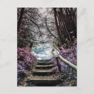 Fantasy Forest Steps Postkarte
