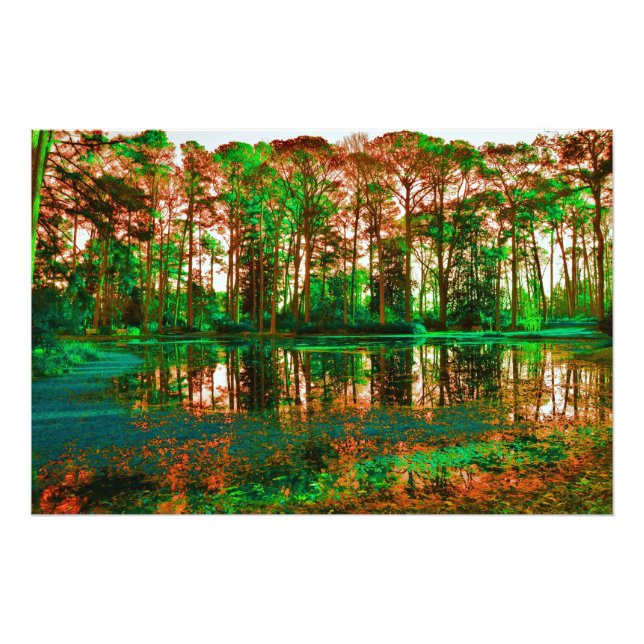 Fantasy Forest von Shirley Taylor Fotodruck (Vorne)
