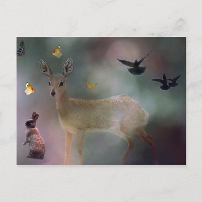 Fantasy für Kleintiere Postkarte (Vorderseite)