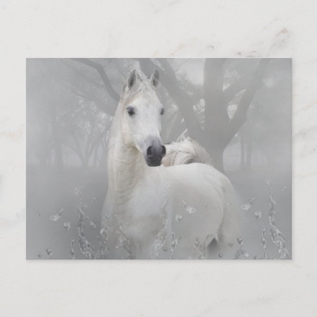 Fantasy Horse Postkarte (Vorderseite)