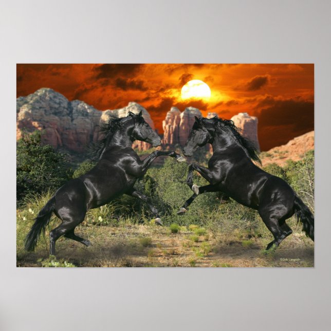 Fantasy Horses: Black Magic Poster (Vorne)