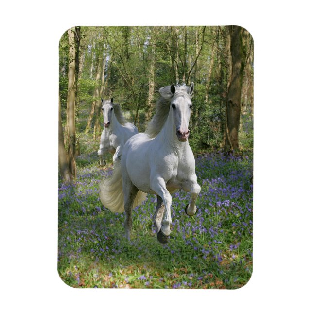 Fantasy Horses: Bluebell Wood Magnet (Vertikal)