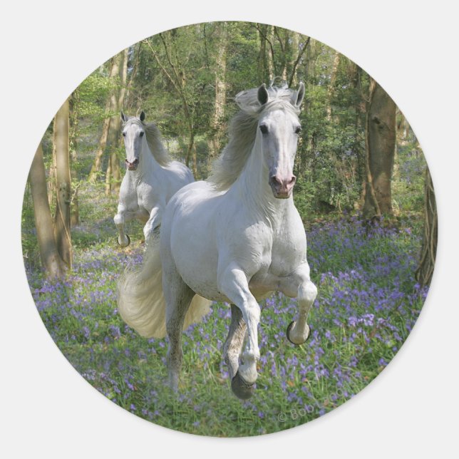Fantasy Horses: Bluebell Wood Runder Aufkleber (Vorderseite)