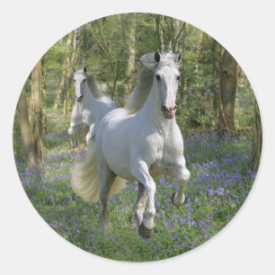 Fantasy Horses: Bluebell Wood Runder Aufkleber
