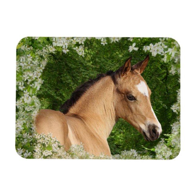 Fantasy Horses: Blume Magnet (Horizontal)