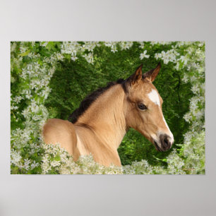 Fantasy Horses: Flowers Poster
