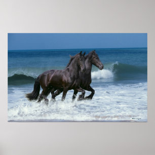 Fantasy Horses: Friesians & Sea Poster