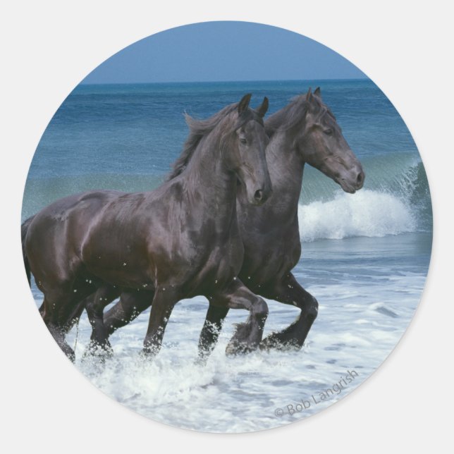 Fantasy Horses: Friesians & Sea Runder Aufkleber (Vorderseite)
