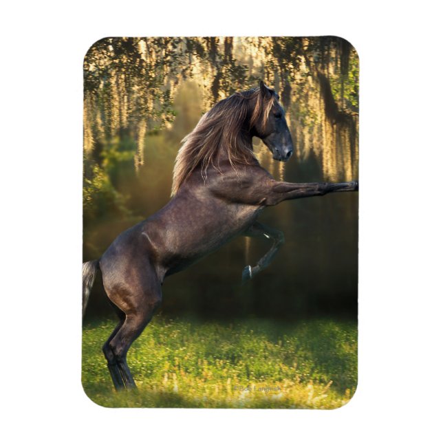 Fantasy Horses: Kriegerprinz Magnet (Vertikal)