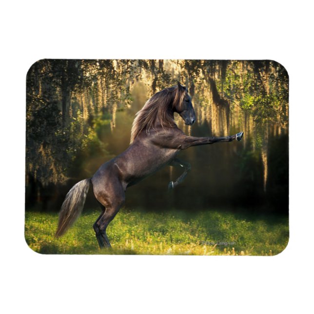 Fantasy Horses: Kriegerprinz Magnet (Horizontal)