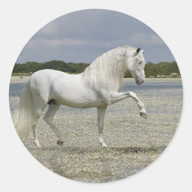 Fantasy Horses: Lord of the Lake Runder Aufkleber (Vorderseite)