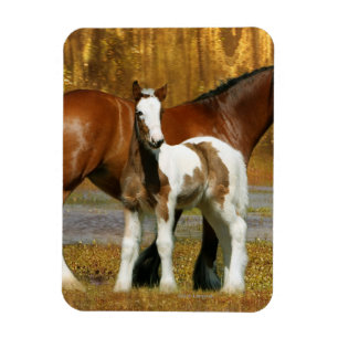 Fantasy Horses: Mare & Foal Magnet
