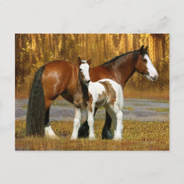 Fantasy Horses: Mare & Foal Postkarte (Vorderseite)