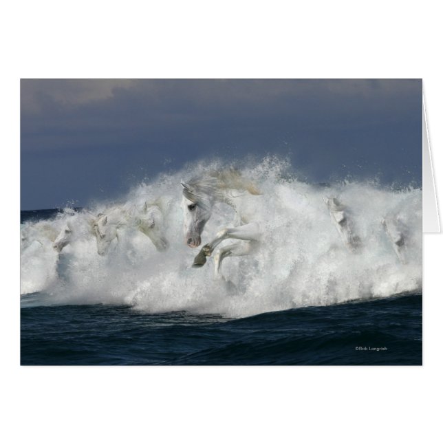 Fantasy Horses: Meer (Vorderseite (Horizontal))