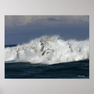 Fantasy Horses: Meer Poster