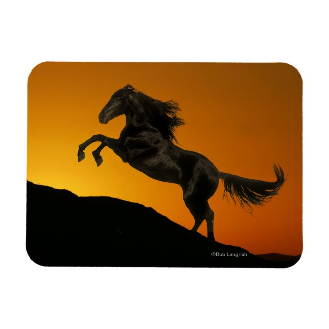 Fantasy Horses: Mountain Sunset Magnet (Horizontal)