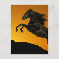 Fantasy Horses: Mountain Sunset