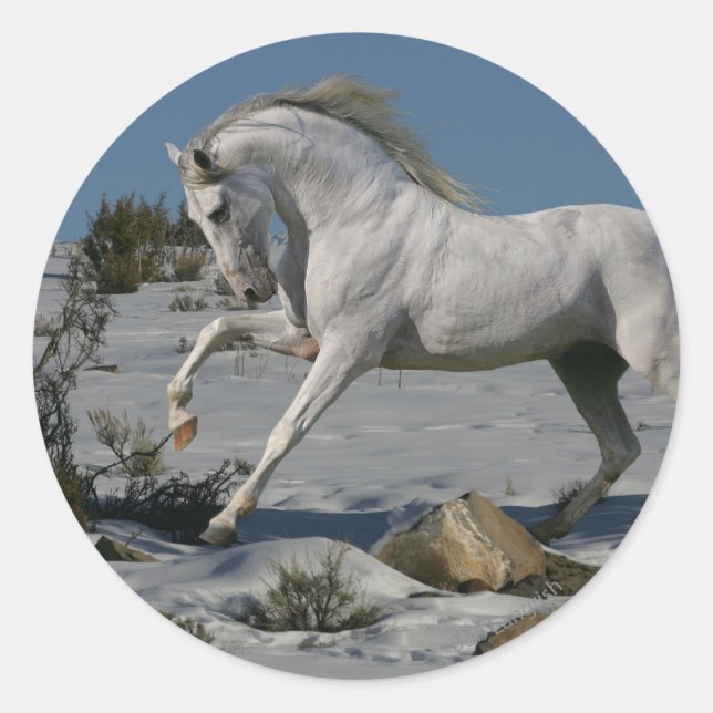 Fantasy Horses: Snow King Runder Aufkleber (Vorderseite)
