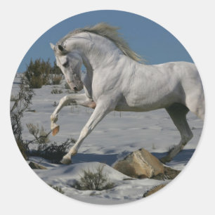 Fantasy Horses: Snow King Runder Aufkleber